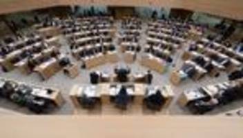 Landtag: FDP fordert Infos zu terrorverdächtigen Jugendlichen