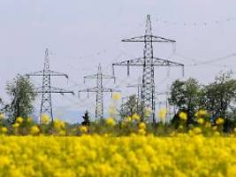 Sonnen-Chef im Interview: Können Heimspeicher das deutsche Stromnetz retten?
