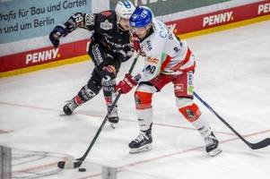 eishockey-profis soramies und schüle verlassen augsburg