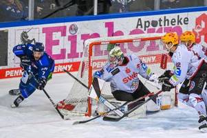 Straubing holt Eishockey-Profi Leier zurück