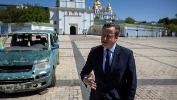 David Cameron - Ukraine darf sich mit britischen Waffen gegen Russland wehren