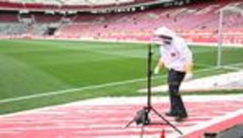 bundesliga: feuerwehr fängt vor vfb-spiel bienenschwarm im stadion ein