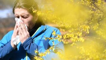 Pollenflug immer früher: Expertin rät zu diesem Schutz