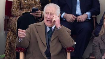 Nach Krebsbehandlung - Er kann wieder lachen: König Charles amüsiert sich bei Pferdeshow