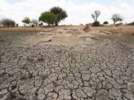 boden verdorrt, feld überflutet: afrikanische bauern kämpfen mit dem klimastress