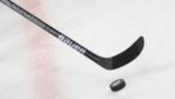 eishockey: adler mannheim verpflichten eishockey-stürmer reichel