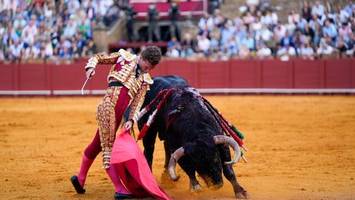 Stierkämpfe vor dem Aus? Spanien geht radikalen Schritt