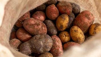 Solanin: Was Sie bei Kartoffeln beachten sollten