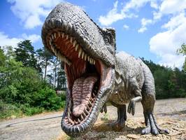 Paläontologie: Wie schlau war der T. rex wirklich?