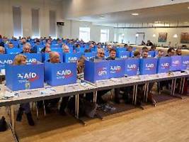 Partei ist Verdachtsobjekt: Verfassungsschutz beobachtet AfD Niedersachsen weiterhin