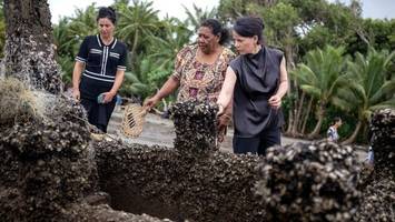 „Brutalität“ der Klimakrise: Baerbock besucht Fidschi