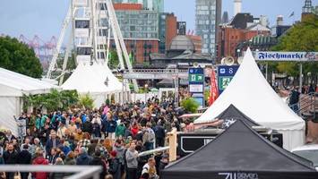 Hafengeburtstag: XXL-Flohmarkt feiert Premiere – alle Infos