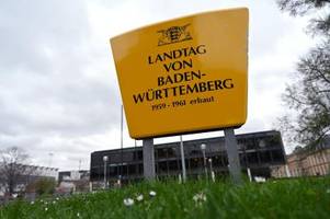 AfD-Abgeordnete vor Landtag in Stuttgart verletzt