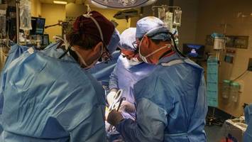 erster patient mit transplantierter schweineniere gestorben