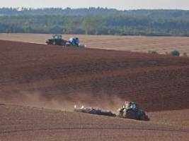 Reaktion auf Proteste: EU lockert Umweltauflagen für Bauern im Eiltempo