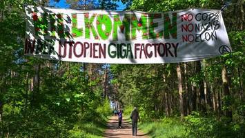 tesla kritisiert proteste gegen die fabrik in grünheide