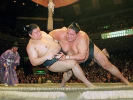 Sumo in Japan: Sport ist Mord