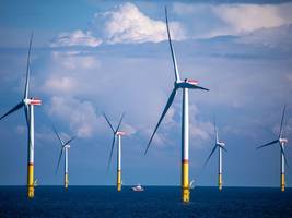 ausbau der offshore-windenergie: zu schnell für umweltschützer