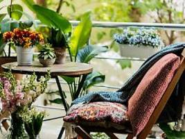 Möbel, Pflanzen und mehr: So wird der Balkon zur gemütlichen Sommer-Oase