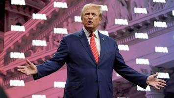 Präsidentenwahl: Trump setzt im Wahlkampf auf Waffenlobby