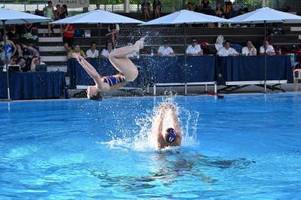 spektakel im wasser: sb delphin sammelt medaillen bei süddeutscher meisterschaft