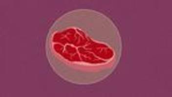 kultiviertes fleisch: fake-fleisch – ein affront gegen die natur?