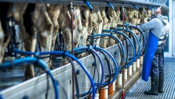 backhaus sieht preisentwicklung bei agrarprodukten positiv