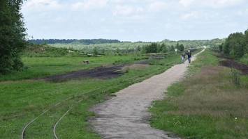 Klimaschutz: So weit sind die Städte im Kreis Pinneberg