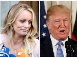 Es ist noch nicht vorbei: Daniels: Trump sollte Boxsack im Frauenhaus sein