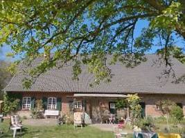 Security muss eingreifen: Im Sommerhaus fliegen - mal wieder - die Fetzen