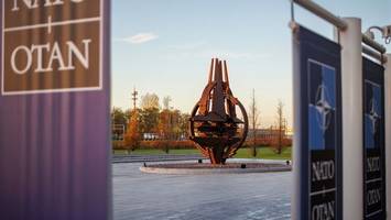 Streit zwischen Bundesregierung und Nato-Partnern