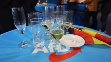 afd sieht rückenwind für landtagswahlen im osten