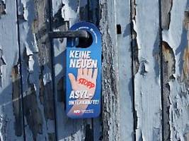 entscheidungen in neun ländern: afd gewinnt auch kommunalwahlen im osten