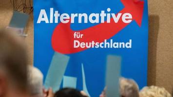 afd-hochburg spree-neiße - fast 40 prozent bei kommunalwahl