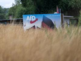 AfD: Wie lange hält die Brandmauer noch?