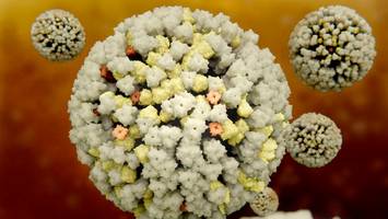 „wissen nicht, was das für klinische praxis bedeutet“ - grippevirus-mutation in usa entdeckt - sie ist gegen influenza-medikament resistent