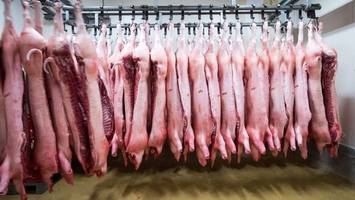 Nach Strafzöllen: China ermittelt gegen EU-Schweinefleisch