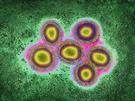 nachweis in den usa und europa: neue grippevirus-mutation alarmiert mediziner
