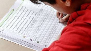 nachhilfe an schulen: Über hälfte der schüler kriegt kurve
