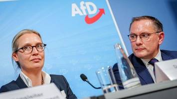 AfD-Spitze strebt Austritt aus ID-Partei an