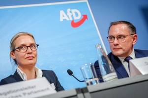 AfD-Spitze strebt Austritt aus ID-Partei an