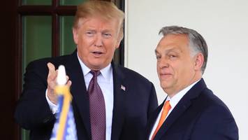 Nach Präsidentschaftswahlen - Orban setzt auf Trump für Bemühungen um Waffenstillstand in der Ukraine