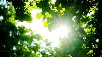 sommerwetter in niedersachsen und bremen