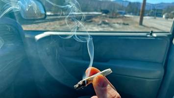 ard-doku warnt vor unfällen - sie konsumieren regelmäßig cannabis? dann sollten sie gar nicht auto fahren