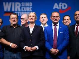 neue spitze komplett: afd wählt fünf neue in den vorstand