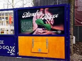 Blumenklappe statt Babyklappe: Wie ein Biergarten auf der Reeperbahn Pflanzen rettet