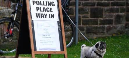 #dogsatpollingstations: tierische wahl in großbritannien
