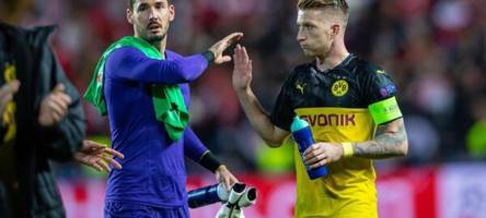 ex-bvb-torwart bürki rät reus zu wechsel nach amerika