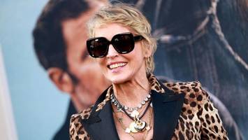 sharon stone verlor nach schlaganfall 18 millionen dollar