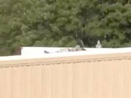 schüsse auf ex-präsidenten: video zeigt trump-attentäter mit gewehr auf einem dach